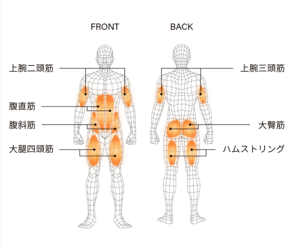 ボディーパーツ画像