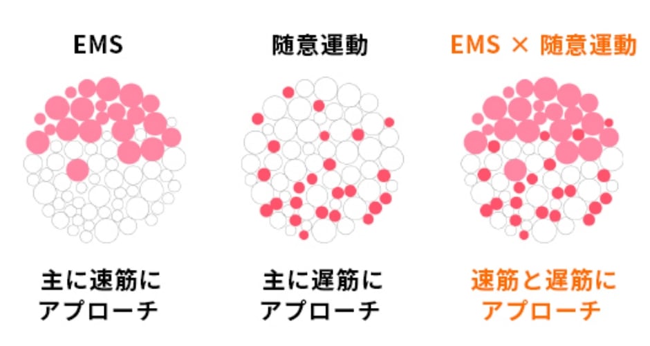 脳の働きイメージ